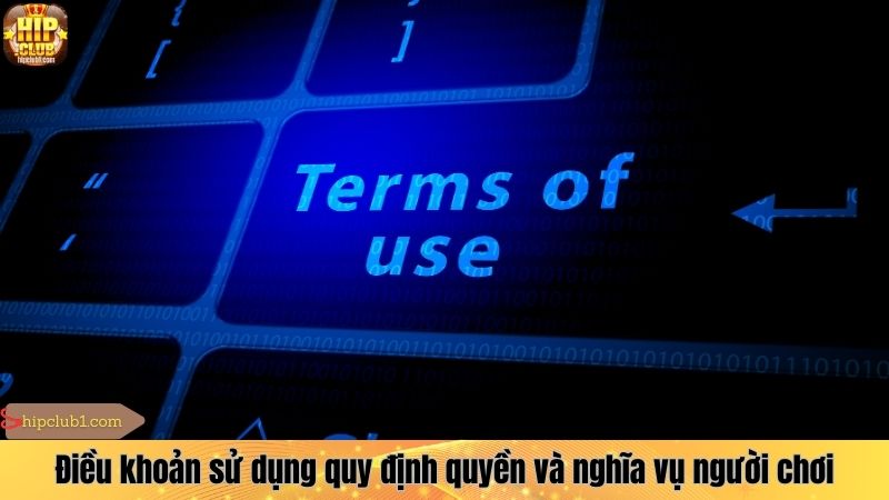 Điều khoản sử dụng quy định quyền và nghĩa vụ người chơi